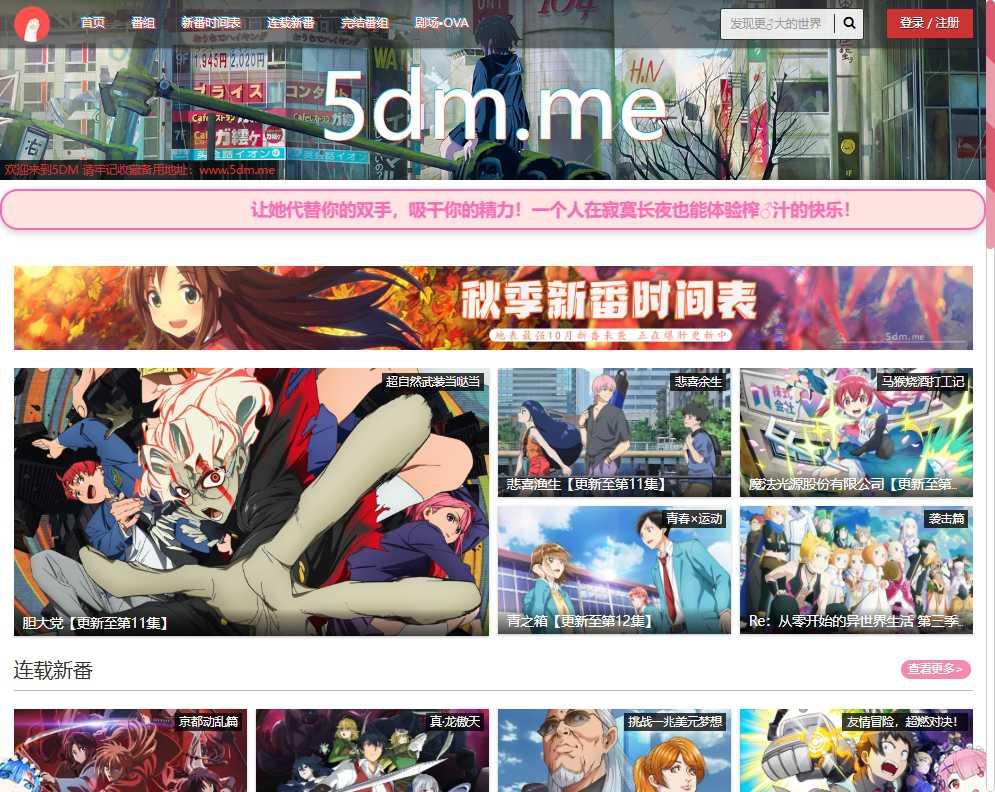 5dm弹幕网